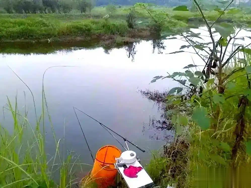 鲤鱼的一切, 让你的身影, 于在深水区