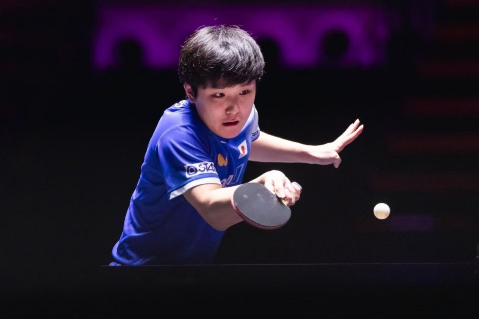 WTT澳门, 非常出色 WTT澳门, 非常出色