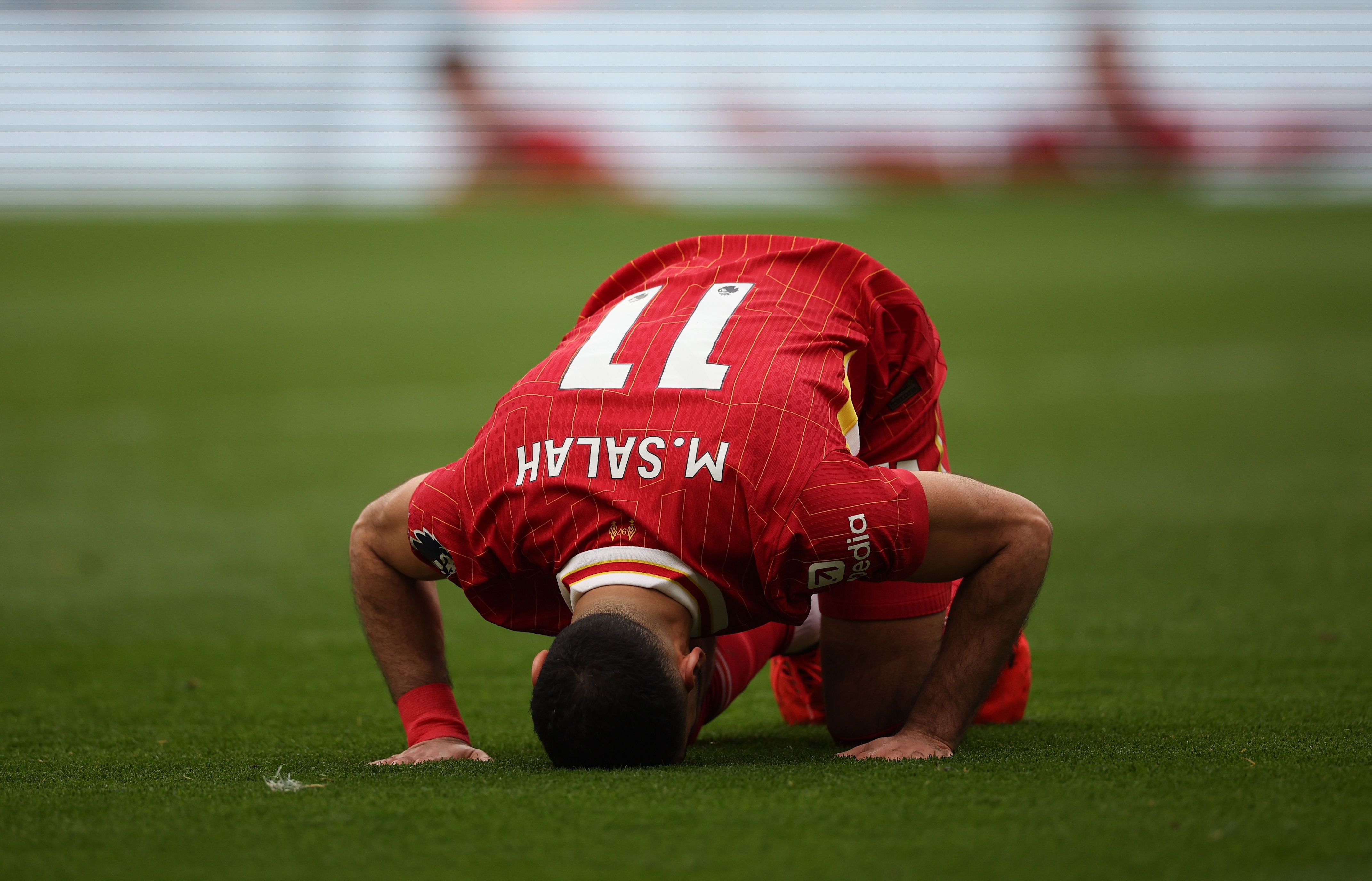 何使用萨拉, 荷兰国脚弗, entit 何使用萨拉, 荷兰国脚弗, entit