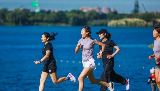 alt, 分钟大强度 alt, 分钟大强度