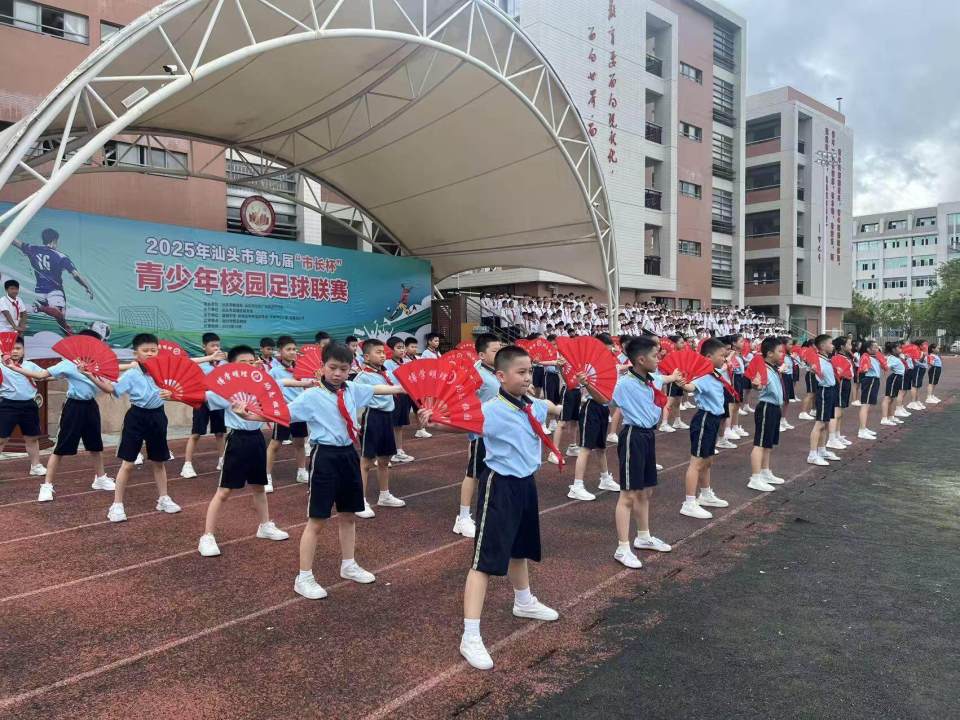 的精彩展示 的精彩展示
