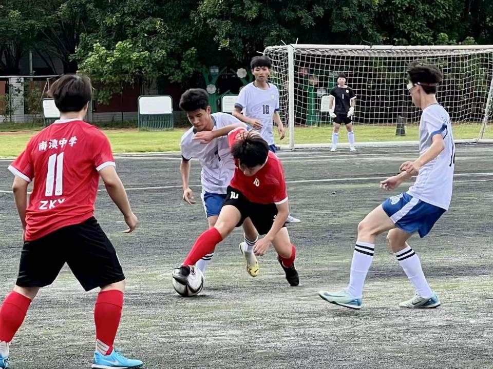 com, 鲜活载体 com, 鲜活载体