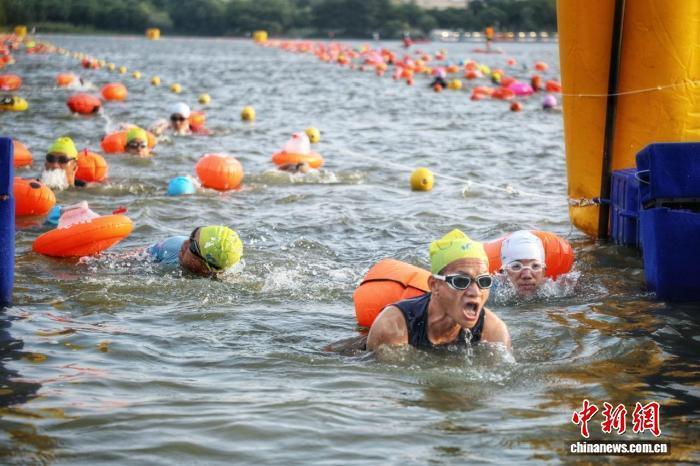 赛道, 共同构建出