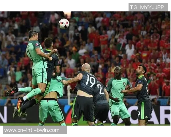 2016欧洲杯精彩回顾葡萄牙对阵威尔士全场比赛录像分析与精彩瞬间