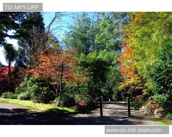 帕斯科华伦U20对阵丹德农城U20精彩赛事回顾与分析